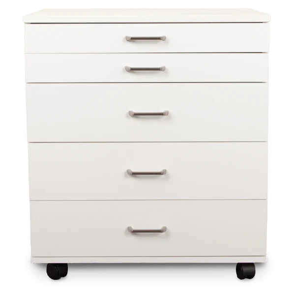 BERNINA Storage Caddie by Horn