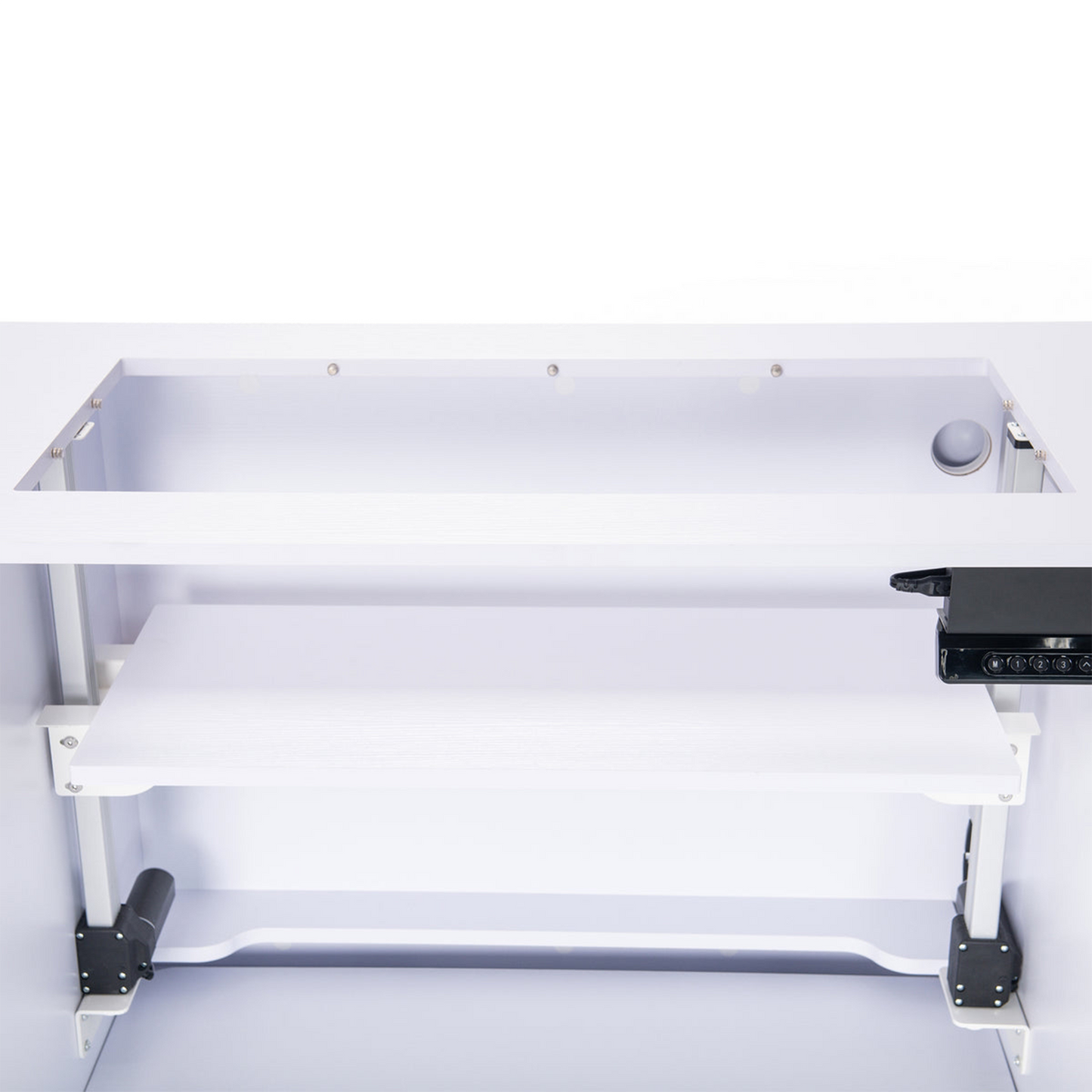 Koala All-In-One Embroidery Studio