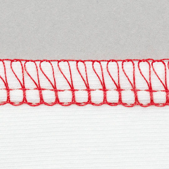 Bernina L 460