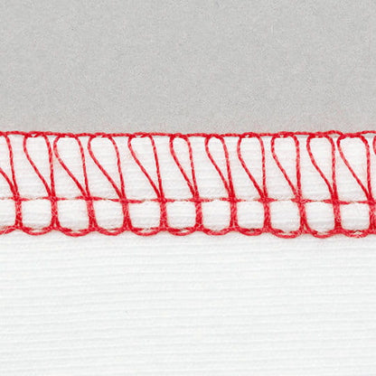Bernina L 460