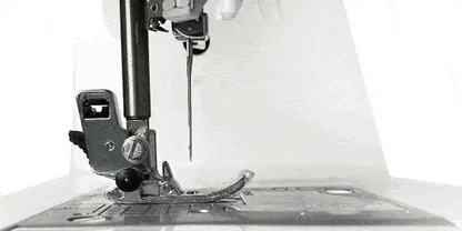 Janome M6